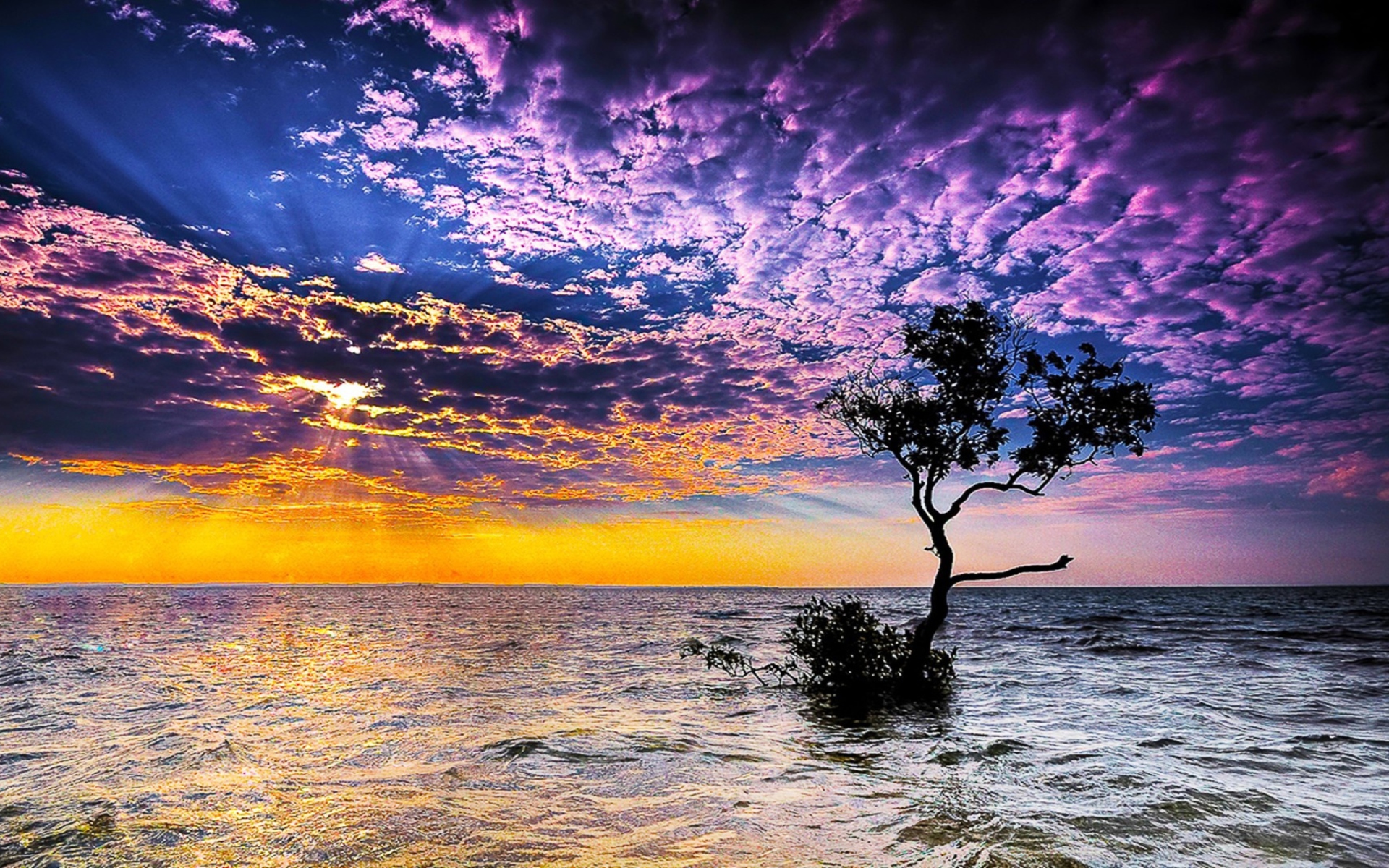 Magnificent Sunset On Sea wallpaper 1920x1200