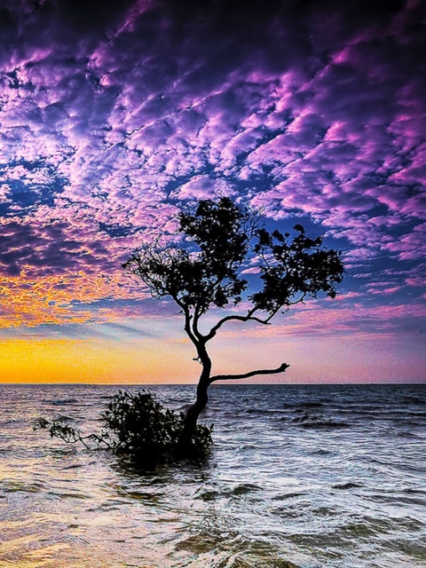 Magnificent Sunset On Sea wallpaper 480x640