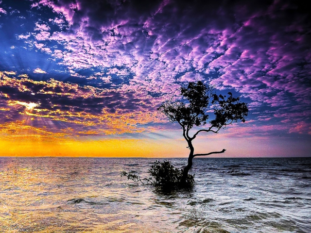 Sfondi Magnificent Sunset On Sea 640x480