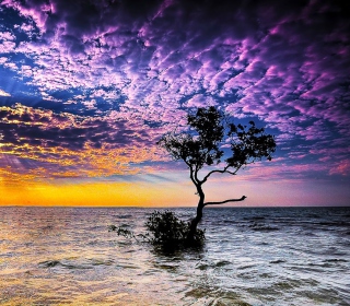 Magnificent Sunset On Sea sfondi gratuiti per iPad mini