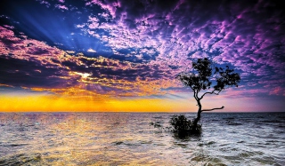 Magnificent Sunset On Sea Picture for Android, iPhone and iPad