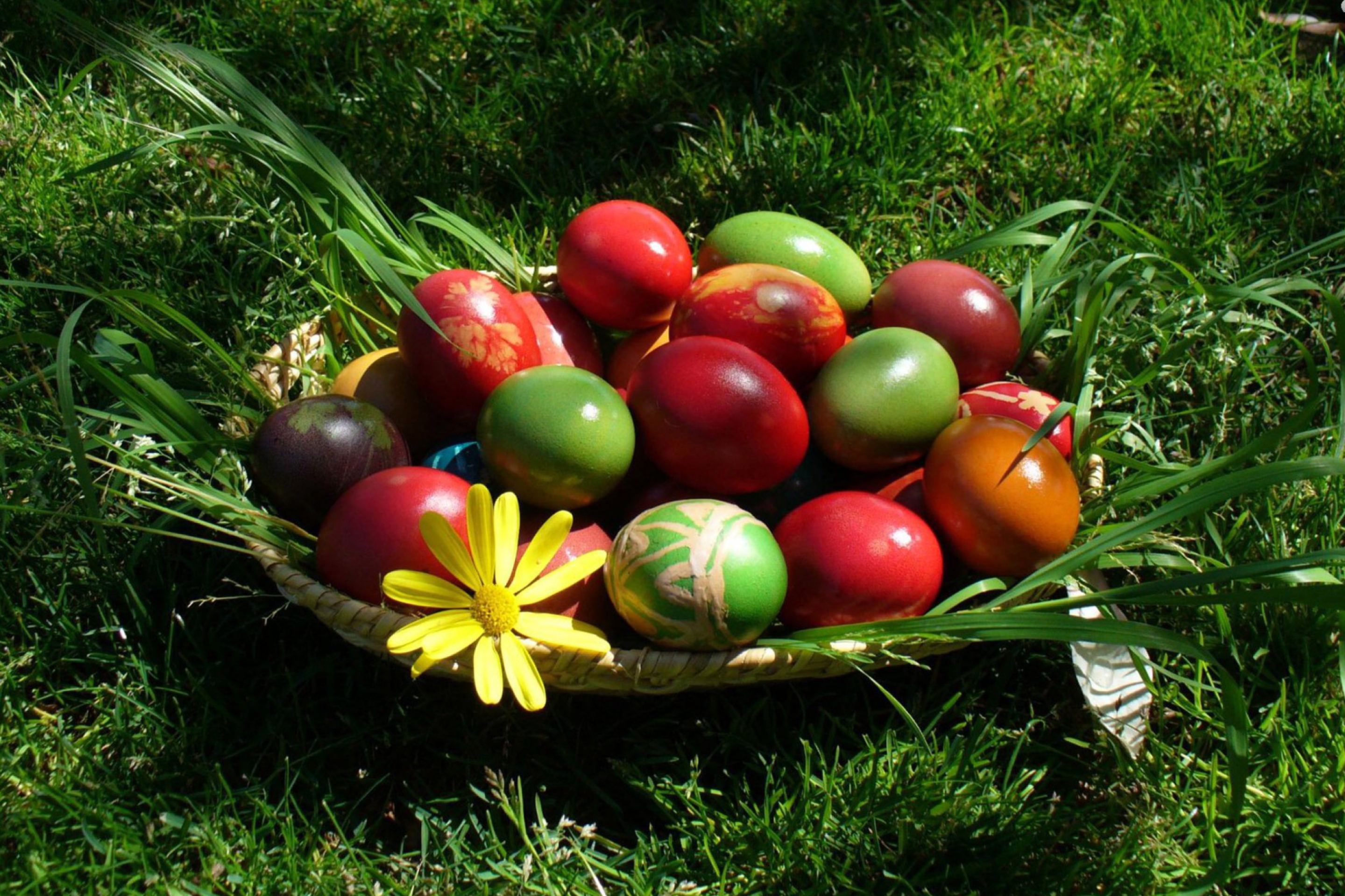 Сурб затик поздравления на армянском. С Пасхой картинки. Пасхальное яйцо. Пасхальные яйца на траве. Пасха природа.
