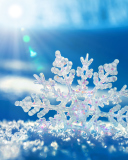 Sfondi Snowflake In Sunlight 128x160