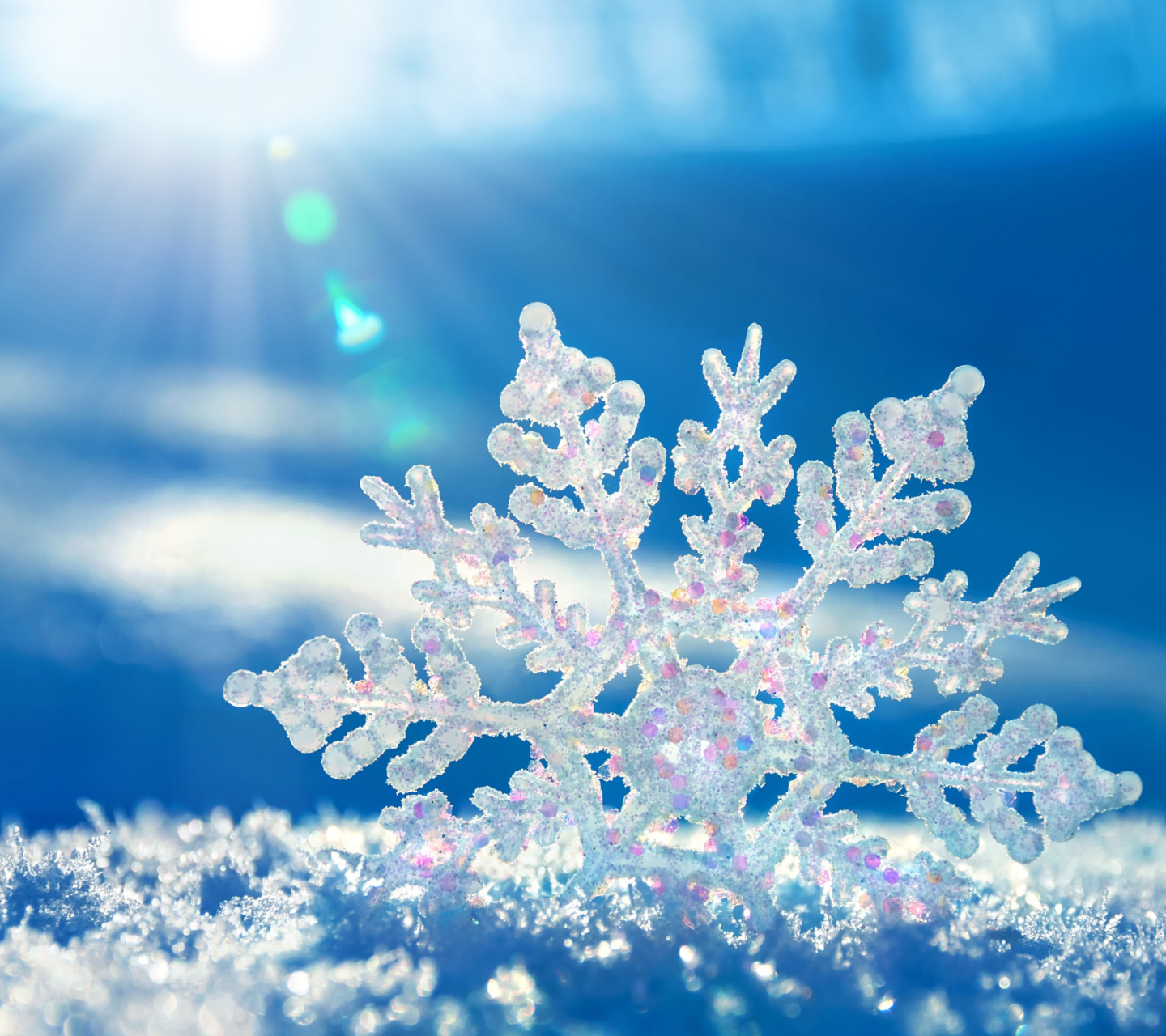 Sfondi Snowflake In Sunlight 1440x1280