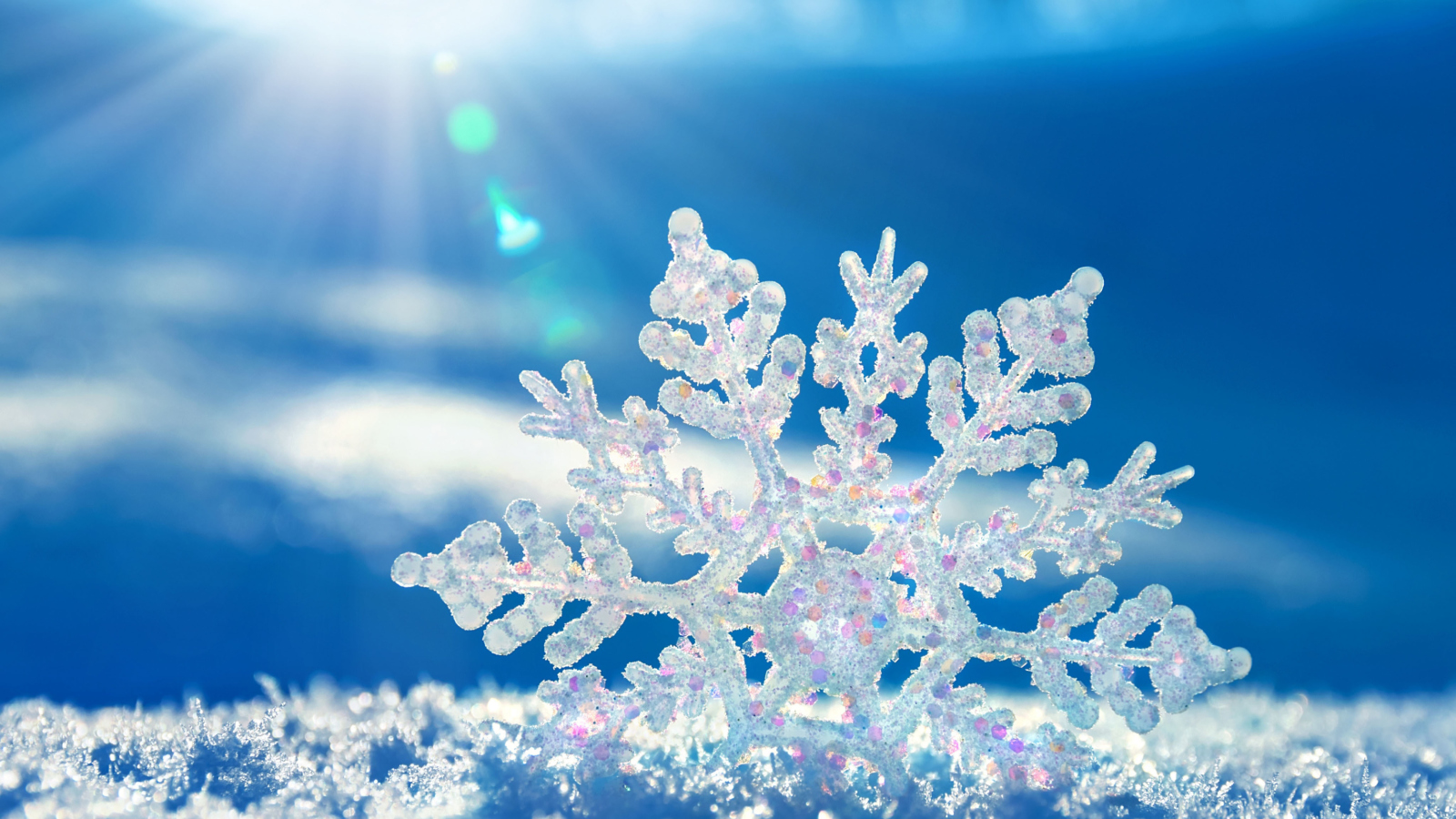 Sfondi Snowflake In Sunlight 1600x900