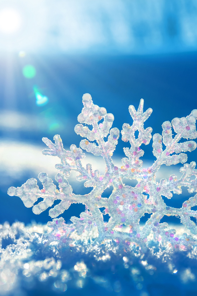 Sfondi Snowflake In Sunlight 640x960