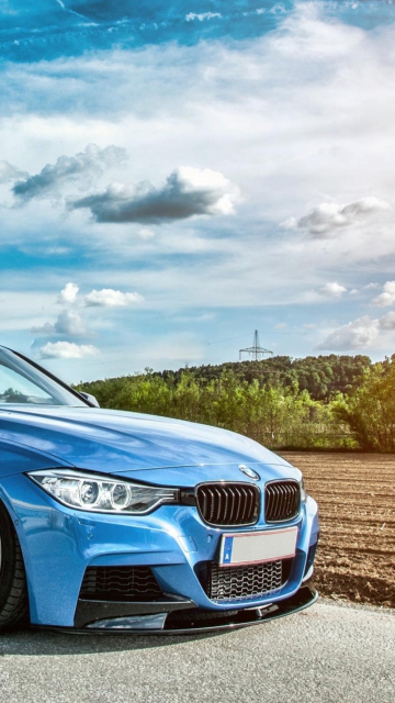 BMW 3 series (F30) screenshot #1 360x640