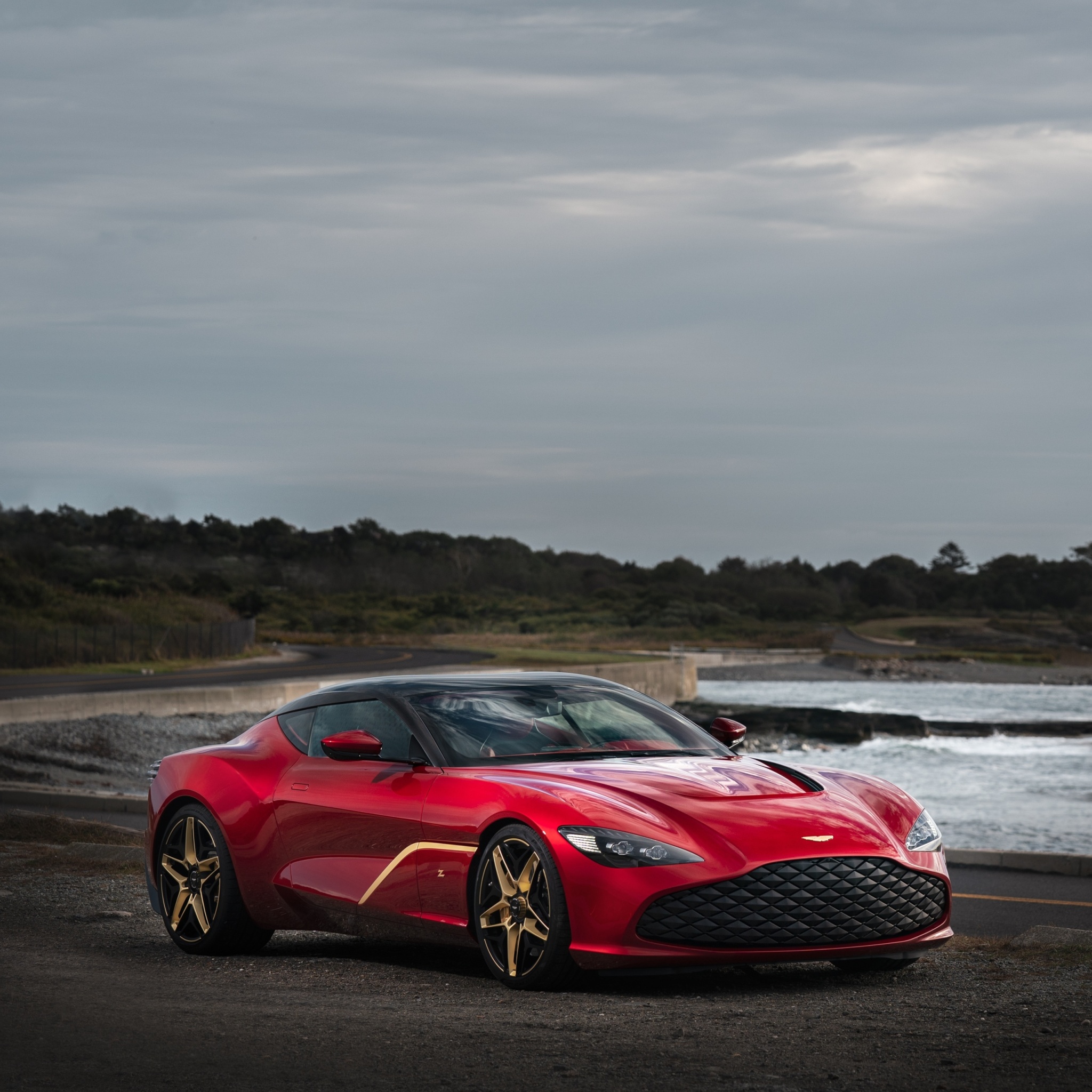 Sfondi Aston Martin Dbs Gt Zagato 2048x2048