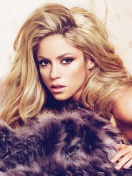 Shakira screenshot #1 132x176