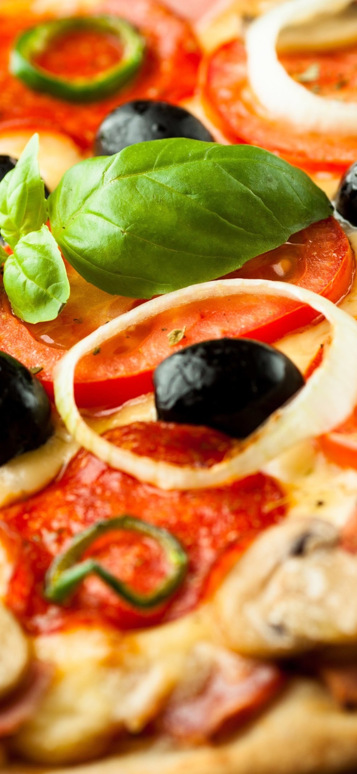 Sfondi Pizza with mushrooms and tomatoes 1170x2532
