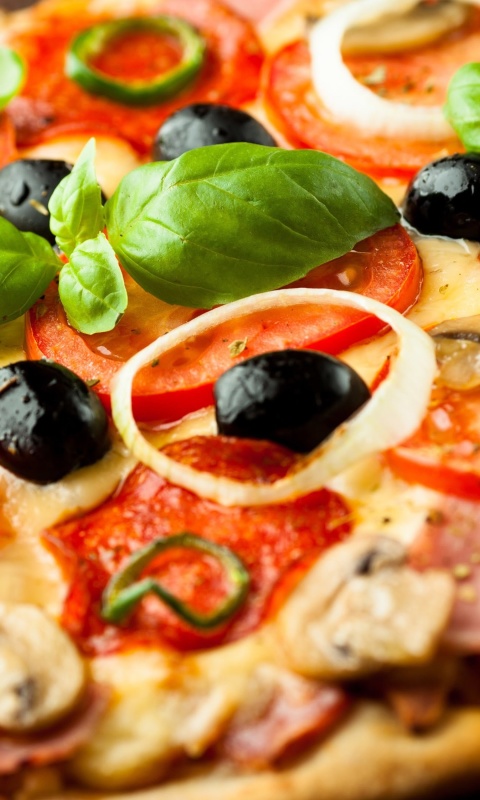 Das Pizza with mushrooms and tomatoes Wallpaper 480x800