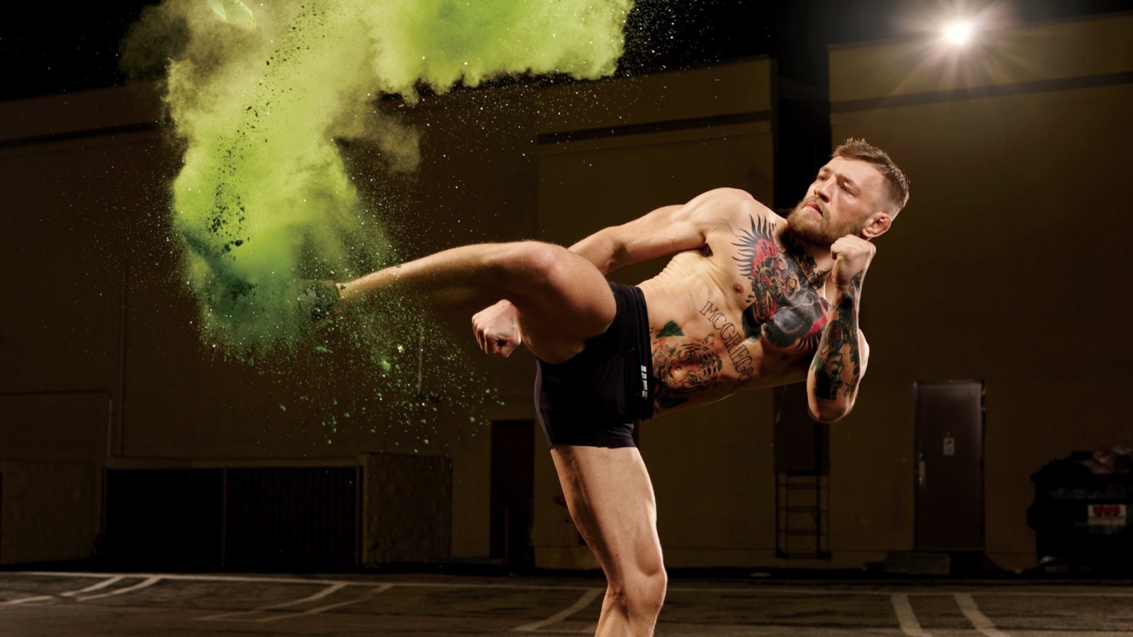 Fondo de pantalla Conor McGregor MMA King 1600x900