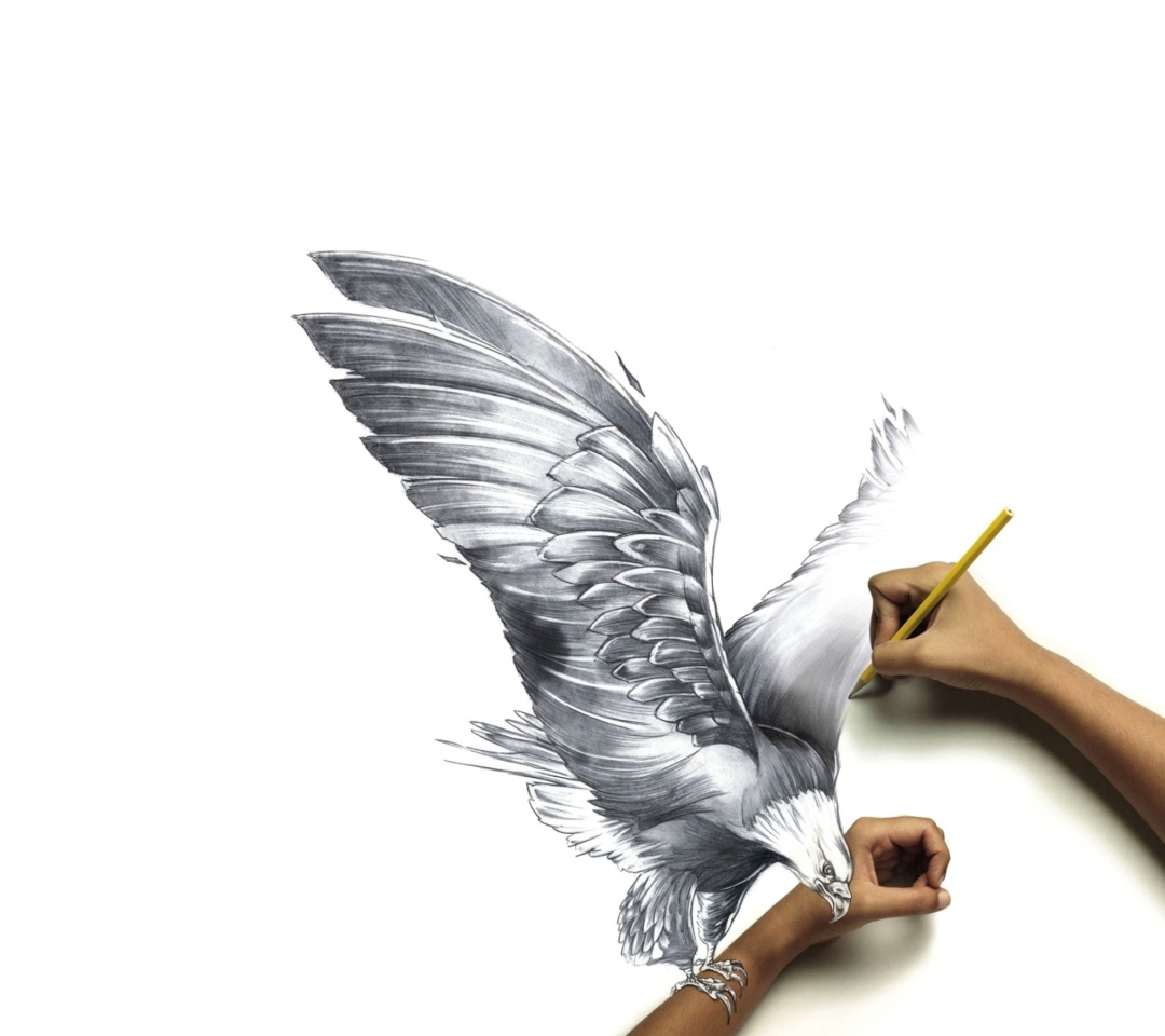 Drawing An Eagle wallpaper 1080x960