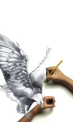 Das Drawing An Eagle Wallpaper 240x400