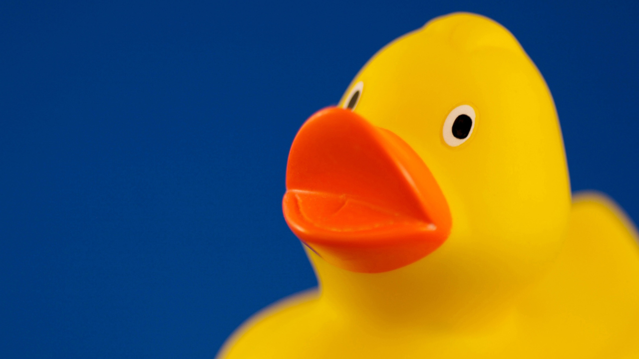 Das Yellow Duck Wallpaper 1280x720