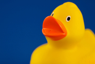 Yellow Duck Background for Android, iPhone and iPad