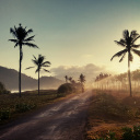Hills with Palms wallpaper 128x128