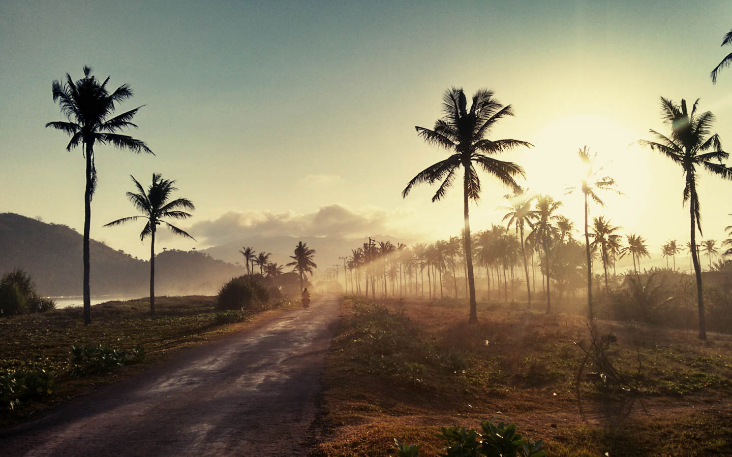 Sfondi Hills with Palms 1440x900