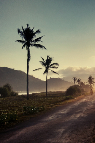 Hills with Palms wallpaper 320x480