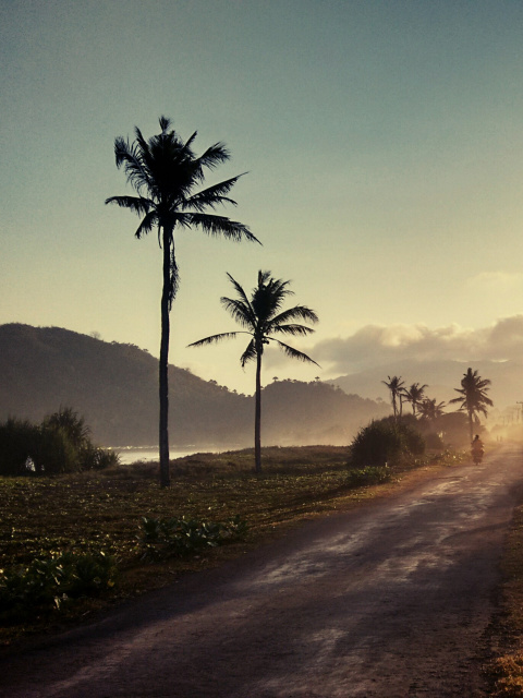 Hills with Palms wallpaper 480x640
