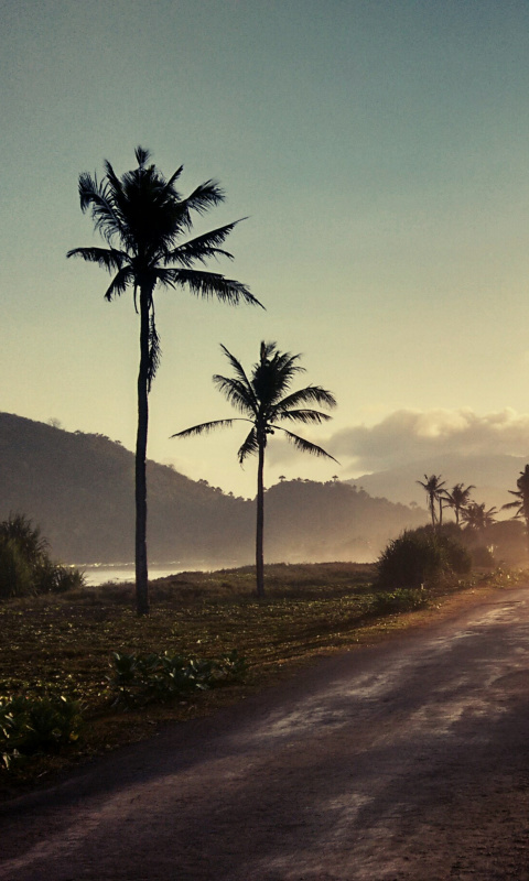 Hills with Palms wallpaper 480x800