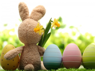 Easter Rabbit wallpaper 320x240