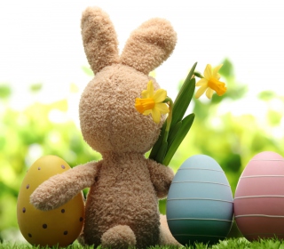 Free Easter Rabbit Picture for Samsung B159 Hero Plus