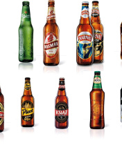 Fondo de pantalla Beer Brands, Bosman, Ksiaz, Harnas, Kasztelan 176x220