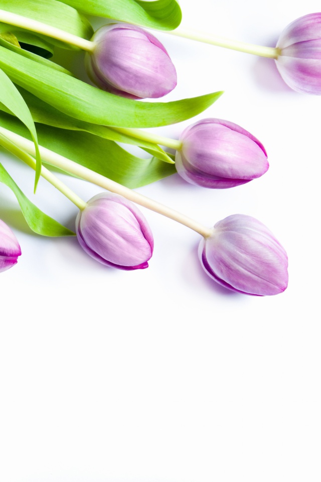 Das Spring Bouquet Wallpaper 640x960