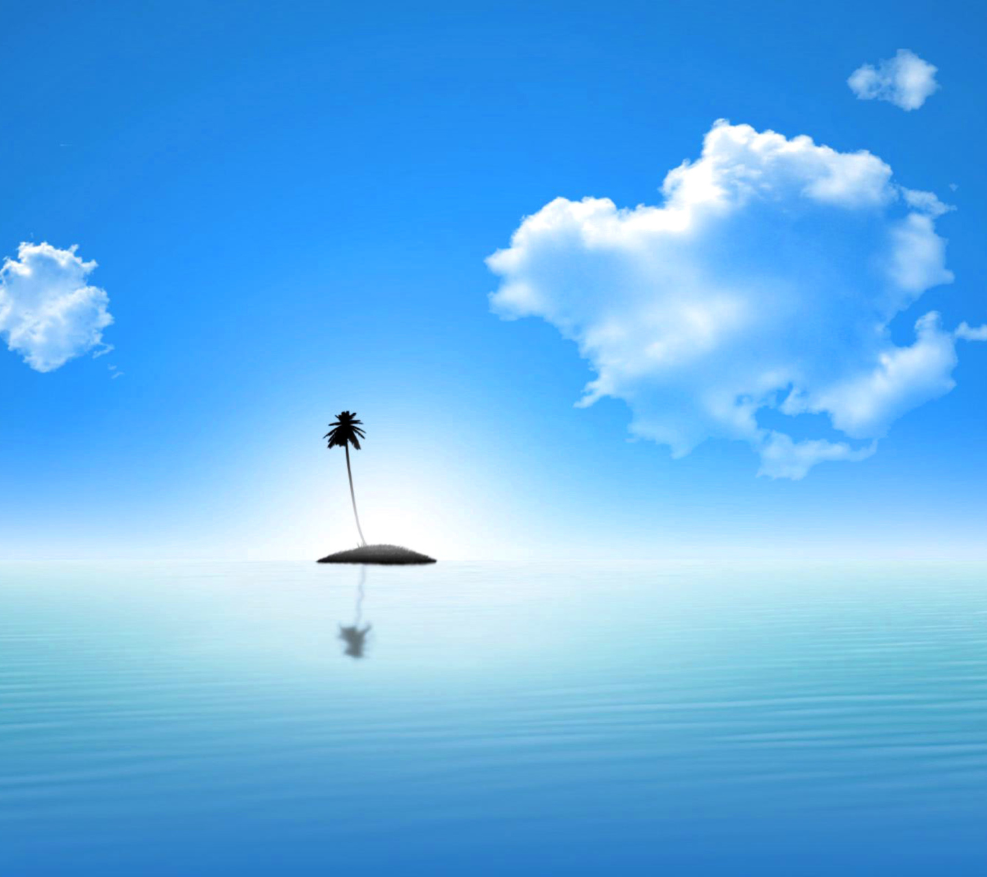 Fondo de pantalla Lonely Palm Tree Island 1440x1280