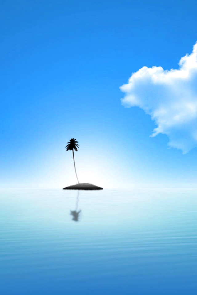 Das Lonely Palm Tree Island Wallpaper 640x960