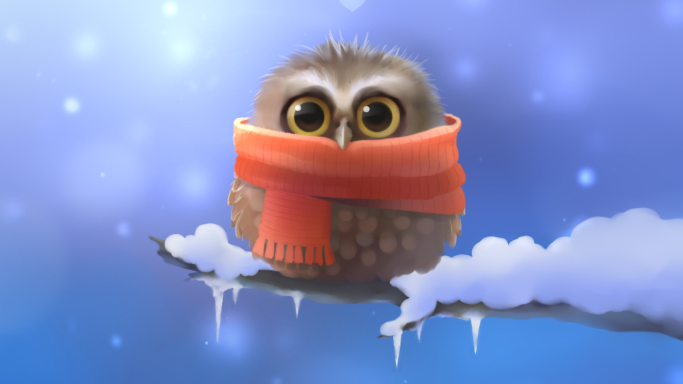 Fondo de pantalla Cold Owl 1366x768