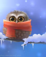 Fondo de pantalla Cold Owl 176x220