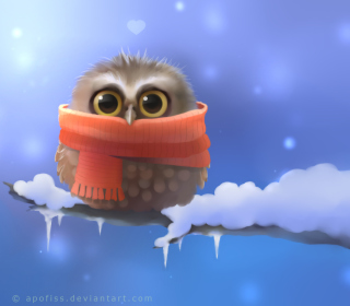 Cold Owl - Obrázkek zdarma pro 2048x2048