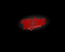 Minnesota Twins wallpaper 220x176