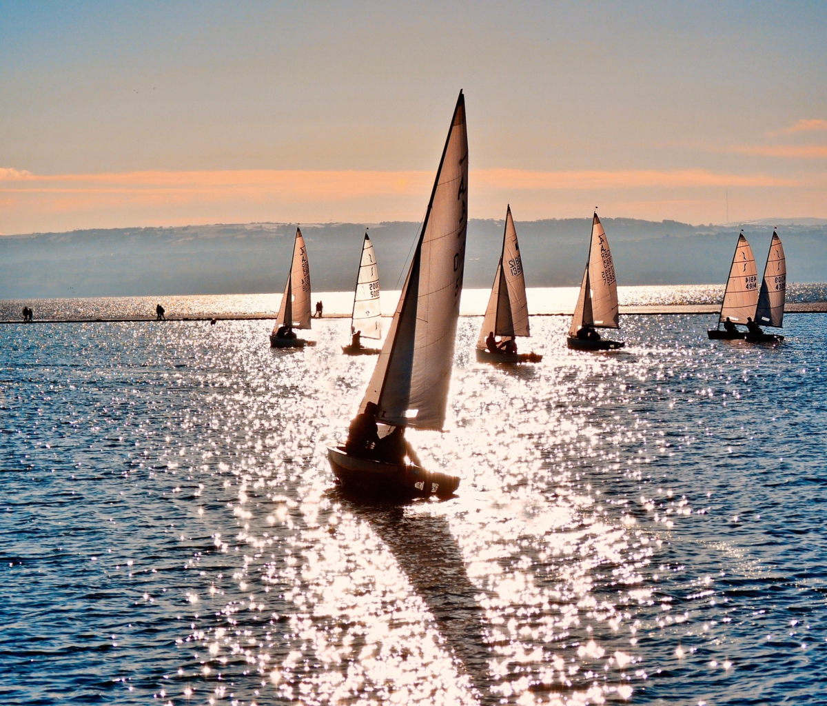 Das Sailing Boats Wallpaper 1200x1024