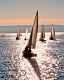 Sailing Boats wallpaper 128x160