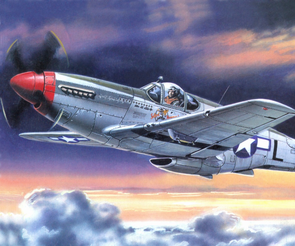 Das North American P 51 Mustang Wallpaper 960x800