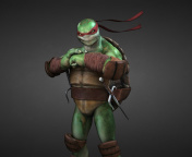Screenshot №1 pro téma Raphael - Teenage Mutant inja Turtles 176x144