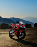 Das Honda CBR 600rr Wallpaper 128x160