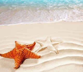 Kostenloses Orange Sea Star Wallpaper für iPad mini