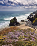 Fondo de pantalla Beach in Cornwall, United Kingdom 128x160