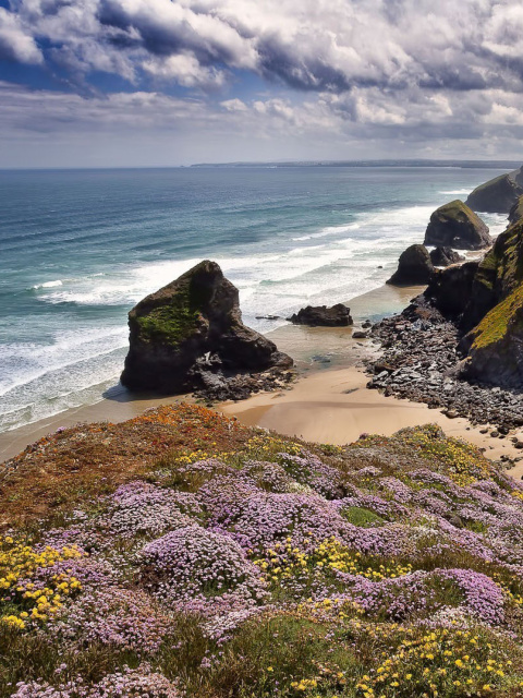 Обои Beach in Cornwall, United Kingdom 480x640