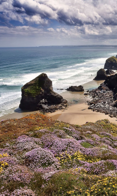 Обои Beach in Cornwall, United Kingdom 480x800