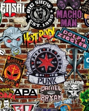 Sfondi WWE Logos: Hot Rod, Punk 176x220