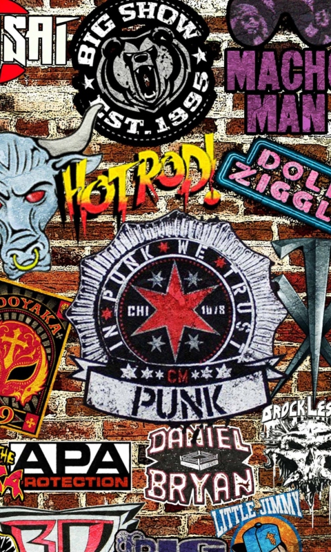 Sfondi WWE Logos: Hot Rod, Punk 480x800