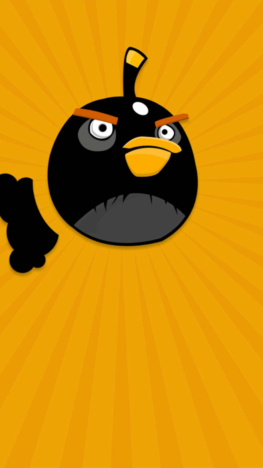 Screenshot №1 pro téma Black Angry Birds 1080x1920