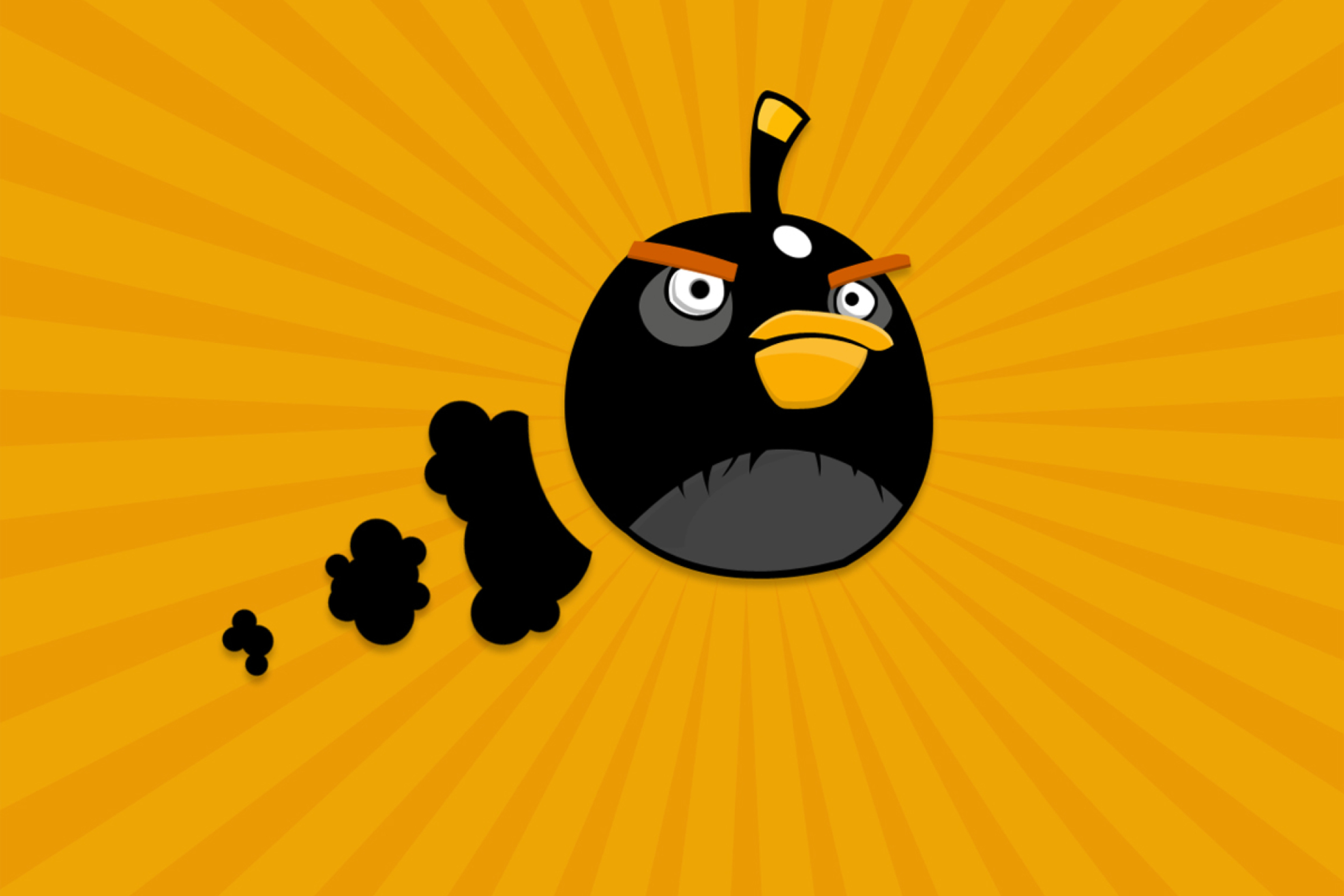 Sfondi Black Angry Birds 2880x1920