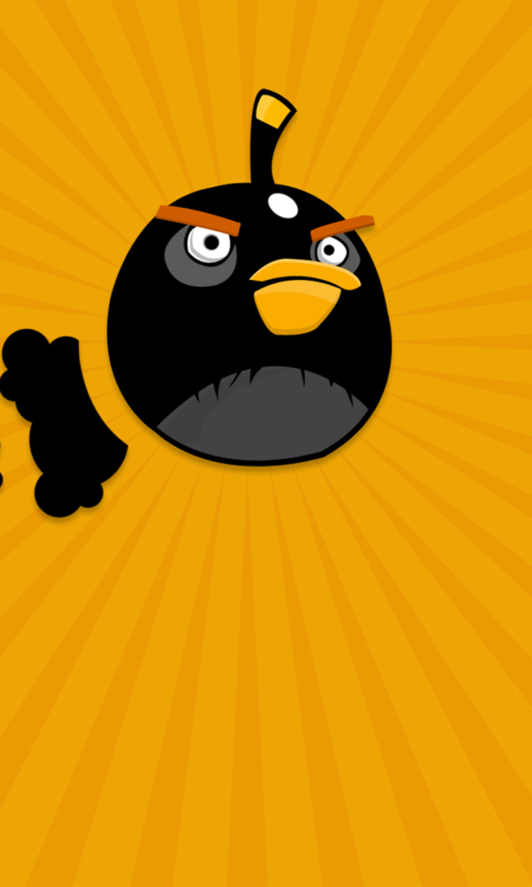 Sfondi Black Angry Birds 768x1280