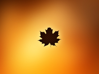 Fondo de pantalla Oak Leaf 320x240